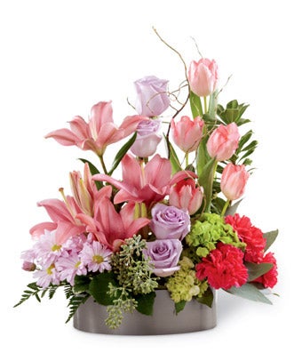 FTD-C8-4845