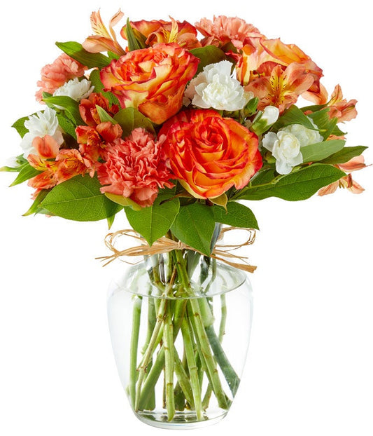 V5541